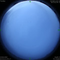 1593377552.jpg