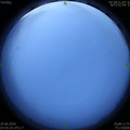 1593377747.jpg