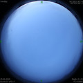 1593377987.jpg