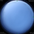 1593378602.jpg