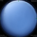 1593378662.jpg