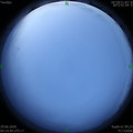 1593378902.jpg