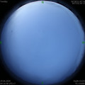 1593379022.jpg