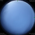 1593379263.jpg
