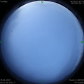 1593379323.jpg