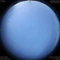 1593379383.jpg