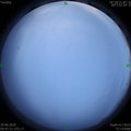 1593380868.jpg