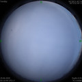 1593382804.jpg