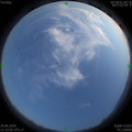 1593441198.jpg