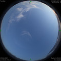 1593441558.jpg
