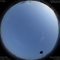1593443194.jpg