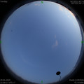 1593443314.jpg