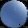 1593443494.jpg