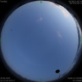 1593443614.jpg