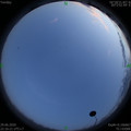1593443794.jpg