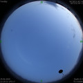 1593444590.jpg