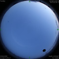 1593445130.jpg