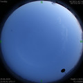 1593445550.jpg