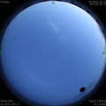 1593446106.jpg