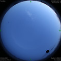 1593446166.jpg