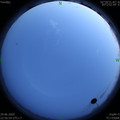 1593446226.jpg