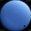 1593446541.jpg