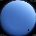 1593446601.jpg