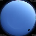 1593446901.jpg