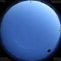 1593446961.jpg