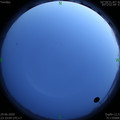 1593447021.jpg
