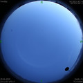 1593447081.jpg