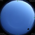 1593447141.jpg