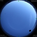 1593447261.jpg