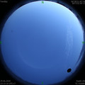 1593447321.jpg