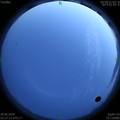 1593447456.jpg