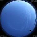 1593447516.jpg