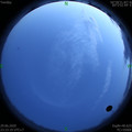 1593447817.jpg