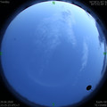 1593447936.jpg
