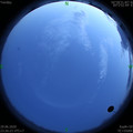 1593447997.jpg