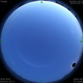 1593450173.jpg