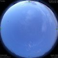 1593457946.jpg