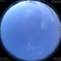 1593458006.jpg