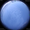 1593463308.jpg