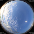 1593473194.jpg