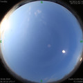 1593473974.jpg