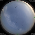 1593528331.jpg