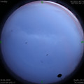 1593533239.jpg