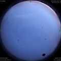 1593533539.jpg
