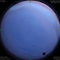 1593534034.jpg