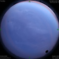 1593536060.jpg